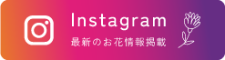 インスタボタン